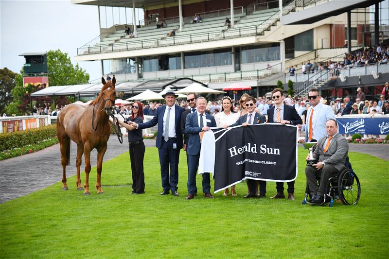 MELBOURNE, AUSTRALIA - NOVEMBER 26: Vow And Declare after winning Race 7, the Herald Sun Zipping Classic, during Melbourne Racing at Caulfield Racecourse on November 26, 2022 in Melbourne, Australia. (Photo by Vince Caligiuri/Getty Images)