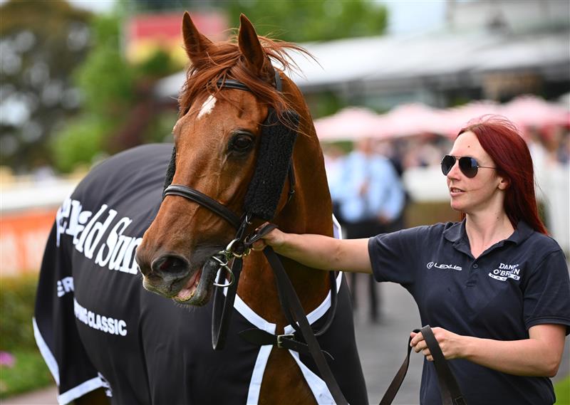 MELBOURNE, AUSTRALIA - NOVEMBER 26: Vow And Declare and strapper Grace Williams after winning Race 7, the Herald Sun Zipping Classic, during Melbourne Racing at Caulfield Racecourse on November 26, 2022 in Melbourne, Australia. (Photo by Vince Caligiuri/Getty Images)