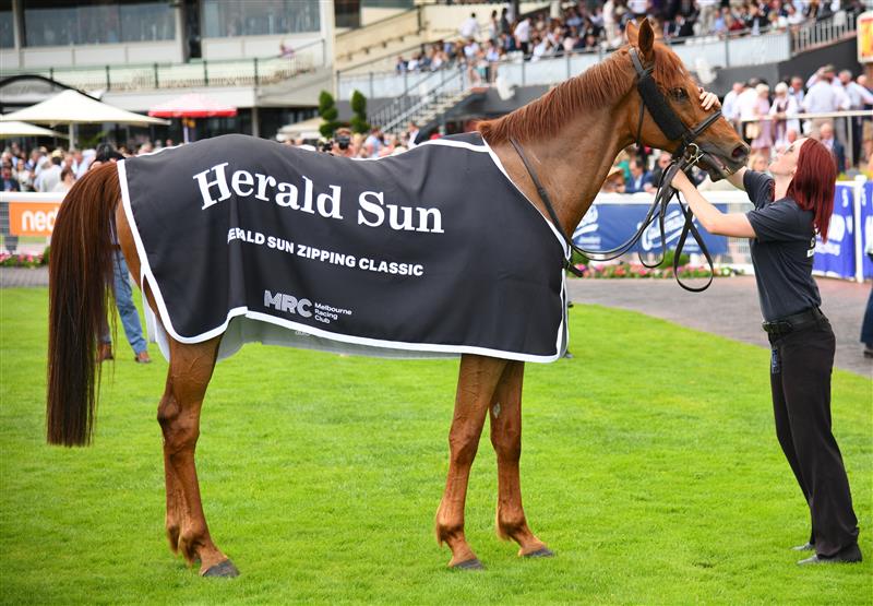 MELBOURNE, AUSTRALIA - NOVEMBER 26: Vow And Declare after winning Race 7, the Herald Sun Zipping Classic, during Melbourne Racing at Caulfield Racecourse on November 26, 2022 in Melbourne, Australia. (Photo by Vince Caligiuri/Getty Images)