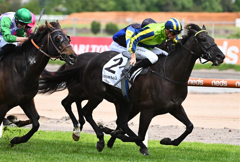MELBOURNE, AUSTRALIA - NOVEMBER 26: Blake Shinn riding Milford winning Race 6, the Lamaro's Hotel Eclipse Stakes, during Melbourne Racing at Caulfield Racecourse on November 26, 2022 in Melbourne, Australia. (Getty)