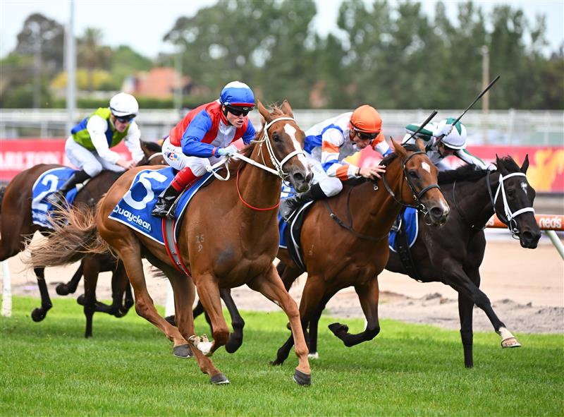 MELBOURNE, AUSTRALIA - NOVEMBER 26: Craig Williams riding Vienna Princess winning Race 4, the Quayclean Twilight Glow Stakes, during Melbourne Racing at Caulfield Racecourse on November 26, 2022 in Melbourne, Australia. (Photo by Vince Caligiuri/Getty Images)