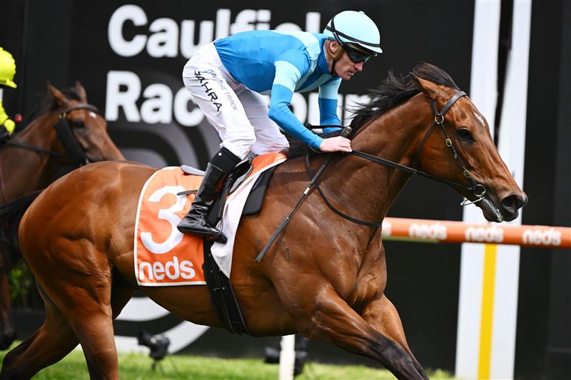 MELBOURNE, AUSTRALIA - NOVEMBER 26: Mark Zahra riding Crosshaven winning Race 5, the Kevin Heffernan Stakes, during Melbourne Racing at Caulfield Racecourse on November 26, 2022 in Melbourne, Australia. (Photo by Vince Caligiuri/Getty Images)