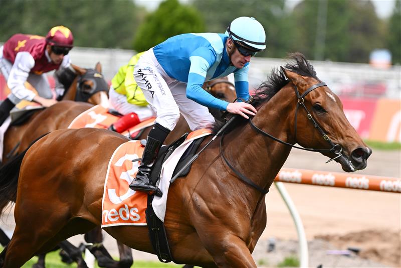 MELBOURNE, AUSTRALIA - NOVEMBER 26: Mark Zahra riding Crosshaven winning Race 5, the Kevin Heffernan Stakes, during Melbourne Racing at Caulfield Racecourse on November 26, 2022 in Melbourne, Australia. (Photo by Vince Caligiuri/Getty Images)