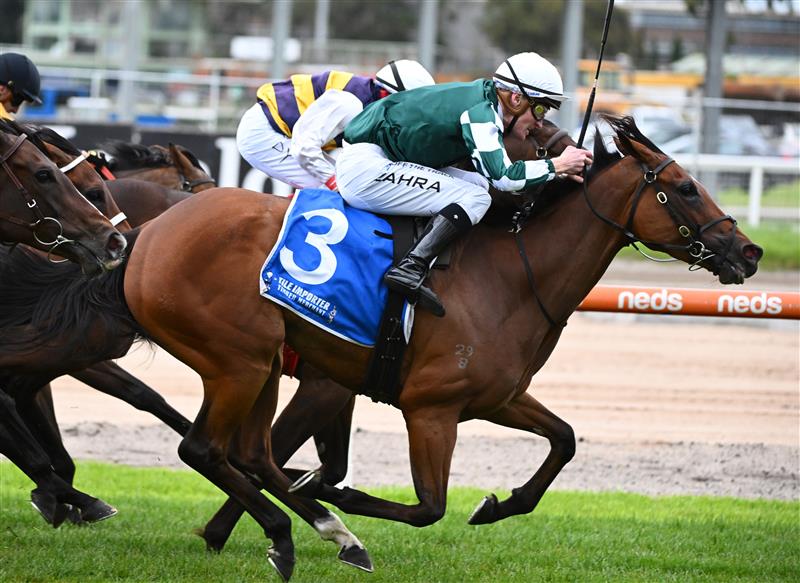 MELBOURNE, AUSTRALIA - NOVEMBER 26: Mark Zahra riding My Whisper winning Race 9, the Tile Importer Summoned Stakes, during Melbourne Racing at Caulfield Racecourse on November 26, 2022 in Melbourne, Australia. (Photo by Vince Caligiuri/Getty Images)