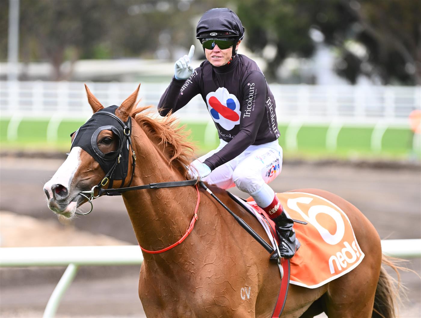 MELBOURNE, AUSTRALIA - NOVEMBER 26: Craig Williams riding Gin Martini after winning Race 2, the Neds Sandown Cup, during Melbourne Racing at Caulfield Racecourse on November 26, 2022 in Melbourne, Australia. (Photo by Vince Caligiuri/Getty Images)