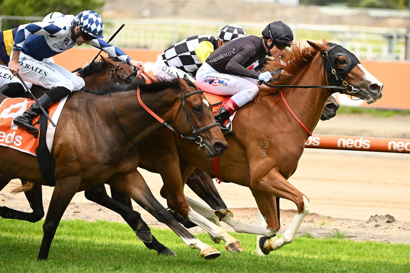 MELBOURNE, AUSTRALIA - NOVEMBER 26: Craig Williams riding Gin Martini winning Race 2, the Neds Sandown Cup, during Melbourne Racing at Caulfield Racecourse on November 26, 2022 in Melbourne, Australia. (Photo by Vince Caligiuri/Getty Images)