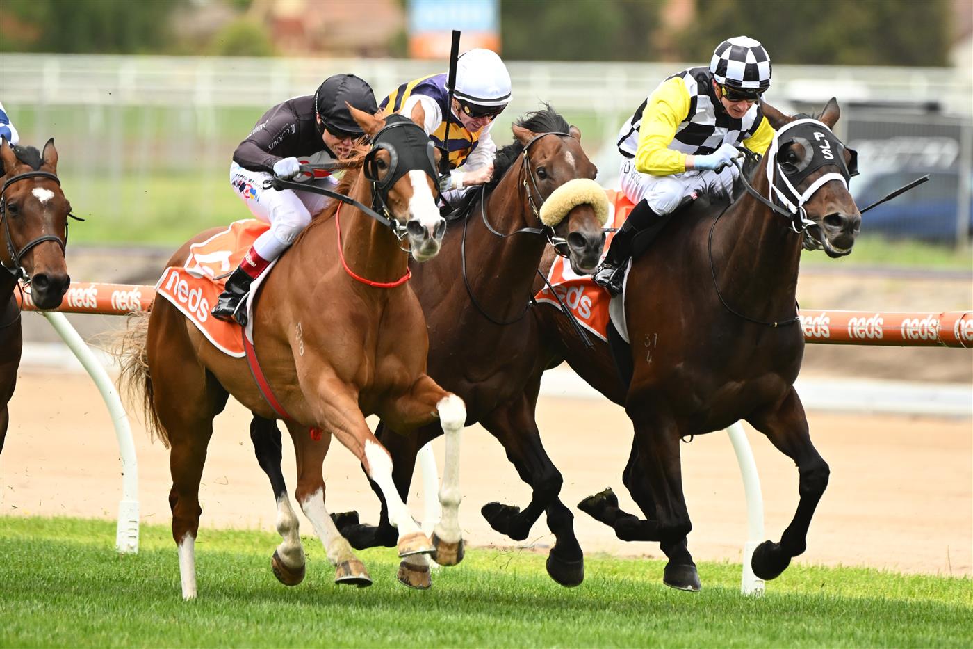 MELBOURNE, AUSTRALIA - NOVEMBER 26: Craig Williams riding Gin Martini winning Race 2, the Neds Sandown Cup, during Melbourne Racing at Caulfield Racecourse on November 26, 2022 in Melbourne, Australia. (Photo by Vince Caligiuri/Getty Images)