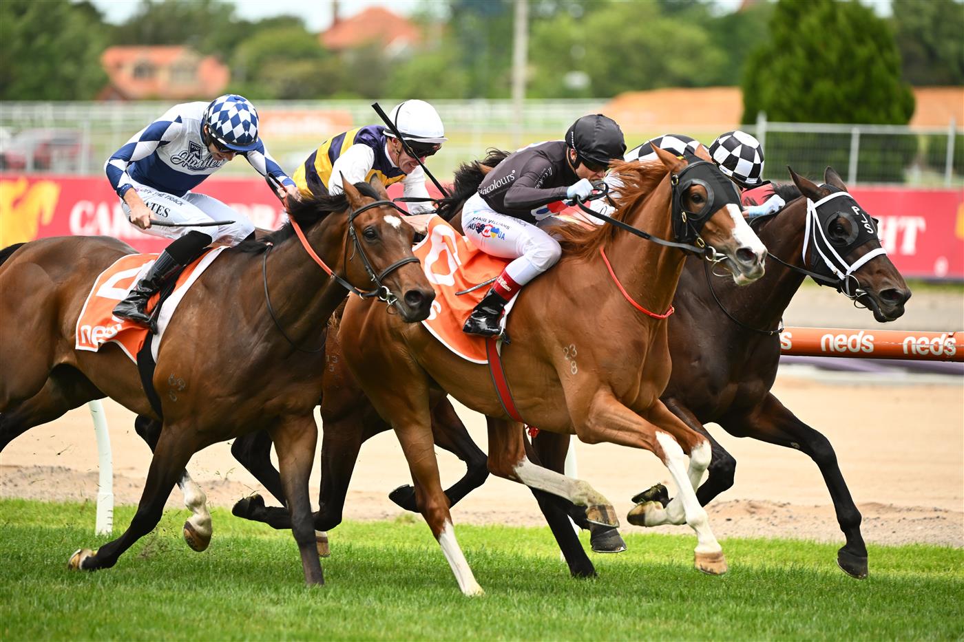 MELBOURNE, AUSTRALIA - NOVEMBER 26: Craig Williams riding Gin Martini winning Race 2, the Neds Sandown Cup, during Melbourne Racing at Caulfield Racecourse on November 26, 2022 in Melbourne, Australia. (Photo by Vince Caligiuri/Getty Images)
