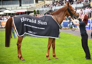 MELBOURNE, AUSTRALIA - NOVEMBER 26: Vow And Declare after winning Race 7, the Herald Sun Zipping Classic, during Melbourne Racing at Caulfield Racecourse on November 26, 2022 in Melbourne, Australia. (Photo by Vince Caligiuri/Getty Images)