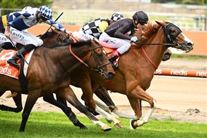 MELBOURNE, AUSTRALIA - NOVEMBER 26: Craig Williams riding Gin Martini winning Race 2, the Neds Sandown Cup, during Melbourne Racing at Caulfield Racecourse on November 26, 2022 in Melbourne, Australia. (Photo by Vince Caligiuri/Getty Images)