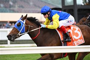 MELBOURNE, AUSTRALIA - NOVEMBER 26: Craig Williams riding See You In Heaven winning Race 8, the Neds Sandown Guineas, during Melbourne Racing at Caulfield Racecourse on November 26, 2022 in Melbourne, Australia. (Photo by Vince Caligiuri/Getty Images)