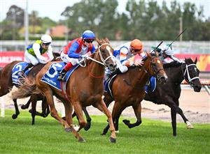 MELBOURNE, AUSTRALIA - NOVEMBER 26: Craig Williams riding Vienna Princess winning Race 4, the Quayclean Twilight Glow Stakes, during Melbourne Racing at Caulfield Racecourse on November 26, 2022 in Melbourne, Australia. (Photo by Vince Caligiuri/Getty Images)