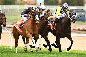 MELBOURNE, AUSTRALIA - NOVEMBER 26: Craig Williams riding Gin Martini winning Race 2, the Neds Sandown Cup, during Melbourne Racing at Caulfield Racecourse on November 26, 2022 in Melbourne, Australia. (Photo by Vince Caligiuri/Getty Images)