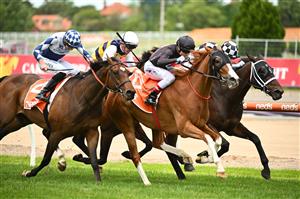 MELBOURNE, AUSTRALIA - NOVEMBER 26: Craig Williams riding Gin Martini winning Race 2, the Neds Sandown Cup, during Melbourne Racing at Caulfield Racecourse on November 26, 2022 in Melbourne, Australia. (Photo by Vince Caligiuri/Getty Images)