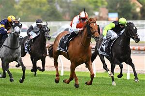 MELBOURNE, AUSTRALIA - NOVEMBER 26: John Allen riding Vow And Declare winning Race 7, the Herald Sun Zipping Classic, during Melbourne Racing at Caulfield Racecourse on November 26, 2022 in Melbourne, Australia. (Photo by Vince Caligiuri/Getty Images)