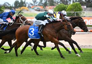 MELBOURNE, AUSTRALIA - NOVEMBER 26: Mark Zahra riding My Whisper winning Race 9, the Tile Importer Summoned Stakes, during Melbourne Racing at Caulfield Racecourse on November 26, 2022 in Melbourne, Australia. (Photo by Vince Caligiuri/Getty Images)