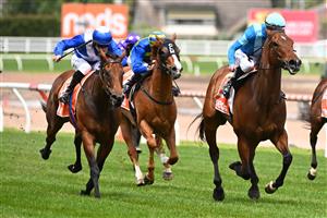 MELBOURNE, AUSTRALIA - NOVEMBER 26: Mark Zahra riding Crosshaven winning Race 5, the Kevin Heffernan Stakes, during Melbourne Racing at Caulfield Racecourse on November 26, 2022 in Melbourne, Australia. (Photo by Vince Caligiuri/Getty Images)