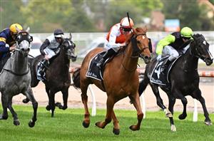 Zipping Classic Day Highlights