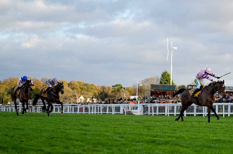 tingle creek