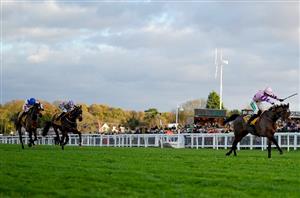 tingle creek