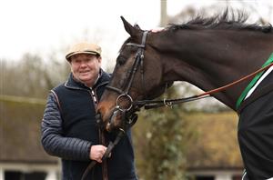 "If it’s not right, we won’t run" - Good ground could scupper Shishkin Tingle Creek return