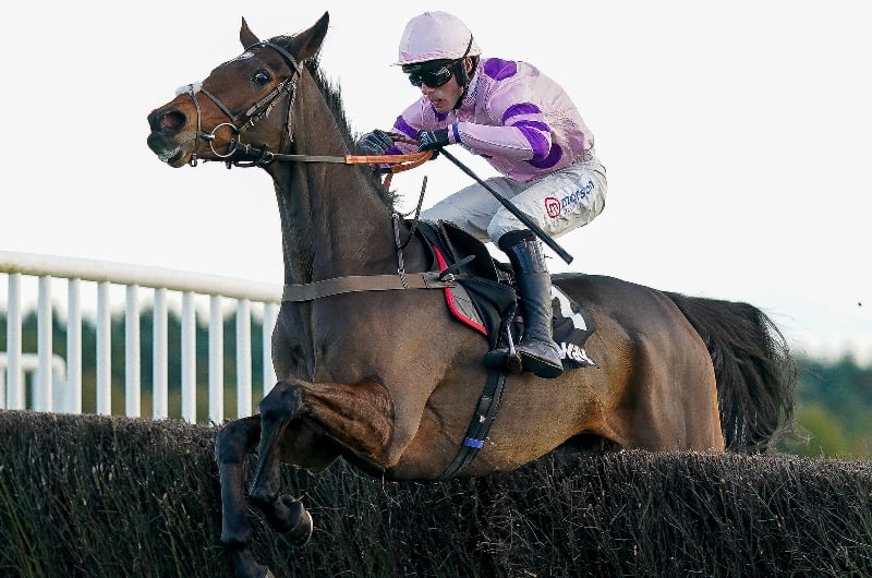 2022 Tingle Creek Tips - Defending champion to lower Shishkin's colours