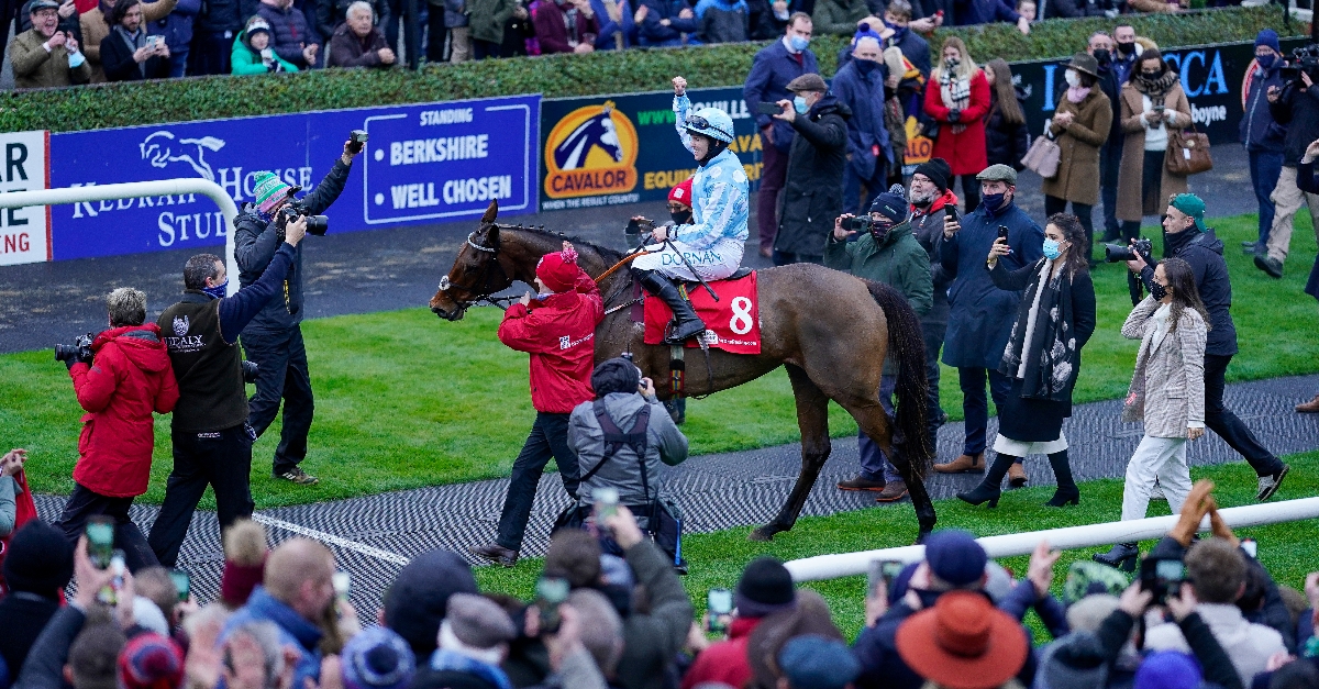 live fairyhouse racing