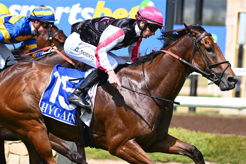 MELBOURNE, AUSTRALIA - DECEMBER 03:  Damien Thornton riding Umgawa winning Race 6, the Schweppes David Bourke Memorial Handicap, during Melbourne Racing at Pakenham Racecourse on December 03, 2022 in Melbourne, Australia. (Photo by Vince Caligiuri/Getty Images)