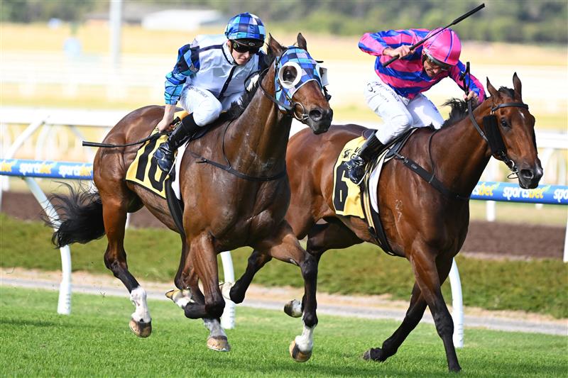 MELBOURNE, AUSTRALIA - DECEMBER 03:  Ethan Brown riding Pal D'oro to win Race 8, the Racing.com VOBIS Gold Bullion, during Melbourne Racing at Pakenham Racecourse on December 03, 2022 in Melbourne, Australia. (Getty)