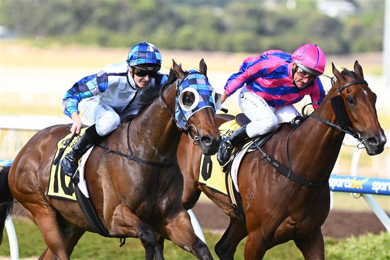 MELBOURNE, AUSTRALIA - DECEMBER 03:  Ethan Brown riding Pal D'oro to win Race 8, the Racing.com VOBIS Gold Bullion, during Melbourne Racing at Pakenham Racecourse on December 03, 2022 in Melbourne, Australia. (Getty)