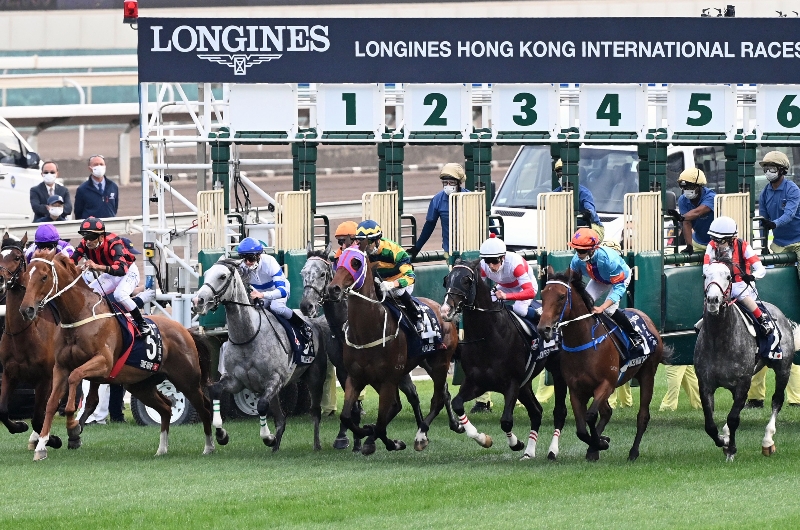 Hong Kong Cup Betting Odds
