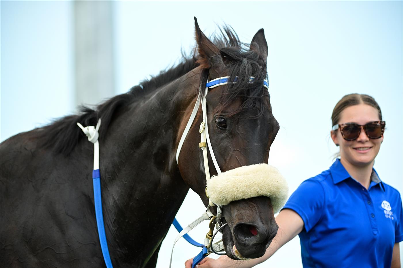 MELBOURNE, AUSTRALIA - DECEMBER 03: Invincible Caviar after winning Race 3, the Furphy Refreshing Ale Bm70 Handicap, during Melbourne Racing at Pakenham Racecourse on December 03, 2022 in Melbourne, Australia. (Photo by Vince Caligiuri/Getty Images)