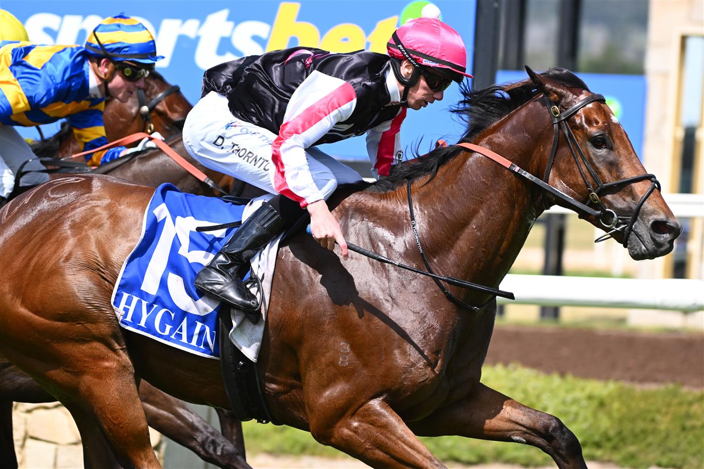 MELBOURNE, AUSTRALIA - DECEMBER 03:  Damien Thornton riding Umgawa winning Race 6, the Schweppes David Bourke Memorial Handicap, during Melbourne Racing at Pakenham Racecourse on December 03, 2022 in Melbourne, Australia. (Photo by Vince Caligiuri/Getty Images)