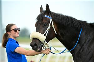 MELBOURNE, AUSTRALIA - DECEMBER 03: Invincible Caviar after winning Race 3, the Furphy Refreshing Ale Bm70 Handicap, during Melbourne Racing at Pakenham Racecourse on December 03, 2022 in Melbourne, Australia. (Photo by Vince Caligiuri/Getty Images)