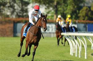 Big Bets Results from 03.12.2022