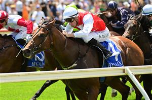 MELBOURNE, AUSTRALIA - DECEMBER 03: Blake Shinn riding Najem Suhail winning Race 4, the Rj Sanderson & Associates Bm78 Handicap, during Melbourne Racing at Pakenham Racecourse on December 03, 2022 in Melbourne, Australia. (Photo by Vince Caligiuri/Getty Images)
