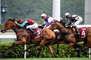 Hong Kong Sprint Betting Odds - Three runners in single figures