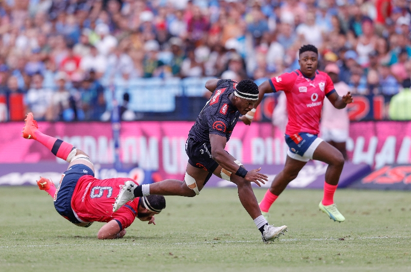 Sharks urc rugby