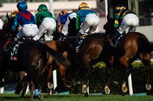 Hong Kong Cup Tips