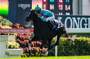 Hong Kong Vase Tips