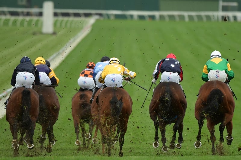 Sandown Racing Tips, Best Bets & Odds Today's Betting Tips for