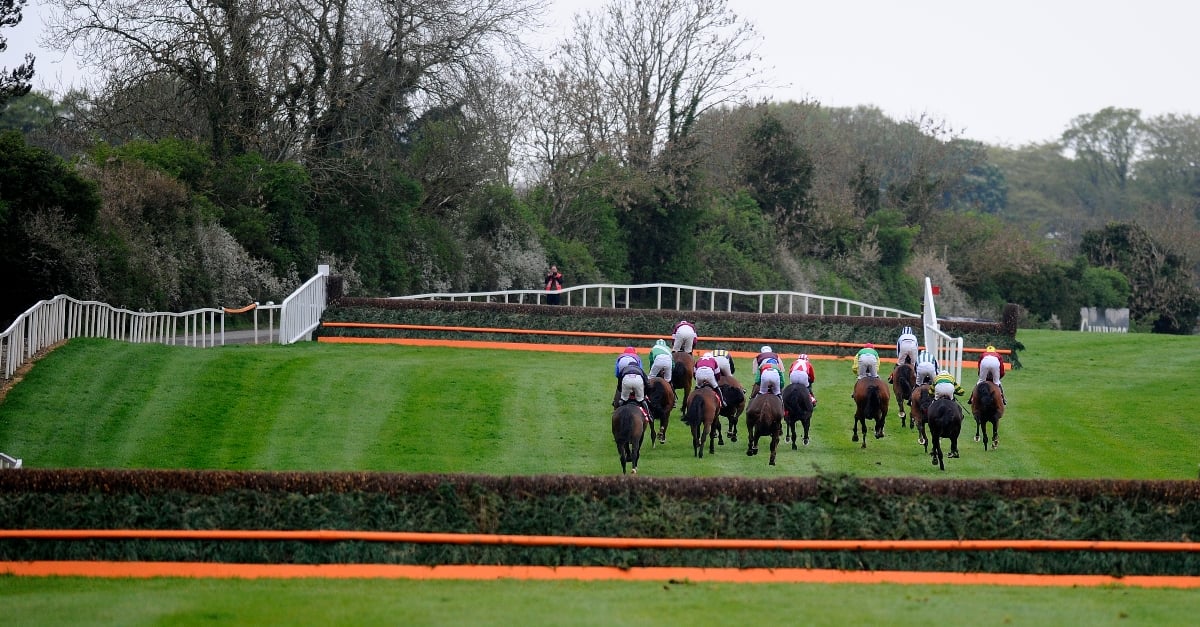 John Durkan Chase Live Stream Watch the Punchestown race live