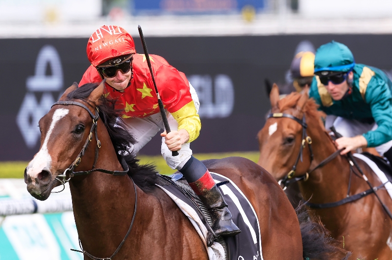 2023 Magic Millions 2YO Classic Betting Odds Latest betting odds for