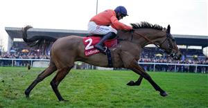 Gold Cup 2023 Tips - Can this 8/1 shot take down Galopin Des Champs?