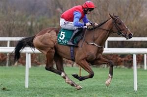 Leopardstown Tips - Top tips on day two of the Christmas Festival