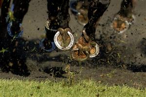 SUNBURY, ENGLAND - DECEMBER 26: Hooves in the sunlight at Kempton Park Racecourse on December 26, 2022 in Sunbury, England. (Photo by Alan Crowhurst/Getty Images)