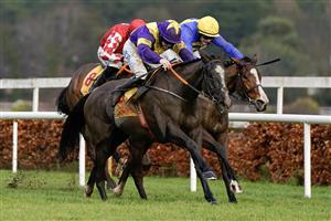DUBLIN, IRELAND - DECEMBER 28: Rachael Blackmore riding Deep Cave (purple/yellow) win The Savills Maiden Hurdle at Leopardstown Racecourse on December 28, 2022 in Dublin, Ireland. (Photo by Alan Crowhurst/Getty Images)