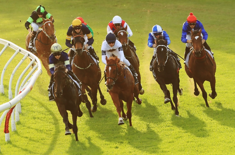 Canterbury Betting Tips for August 16, 2023 Venelope to launch in the last