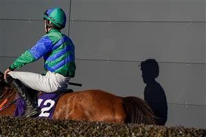 DUBLIN, IRELAND - DECEMBER 29: A runner returns at Leopardstown Racecourse on December 29, 2022 in Dublin, Ireland (Photo by Alan Crowhurst/Getty Images)