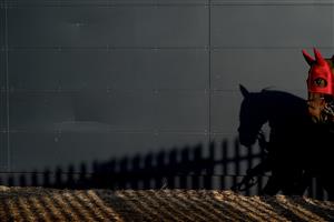 DUBLIN, IRELAND - DECEMBER 29: A runner makes its way to the parade ring at Leopardstown Racecourse on December 29, 2022 in Dublin, Ireland (Photo by Alan Crowhurst/Getty Images)